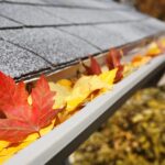 Protecting Your Home from Fall Foliage Damage